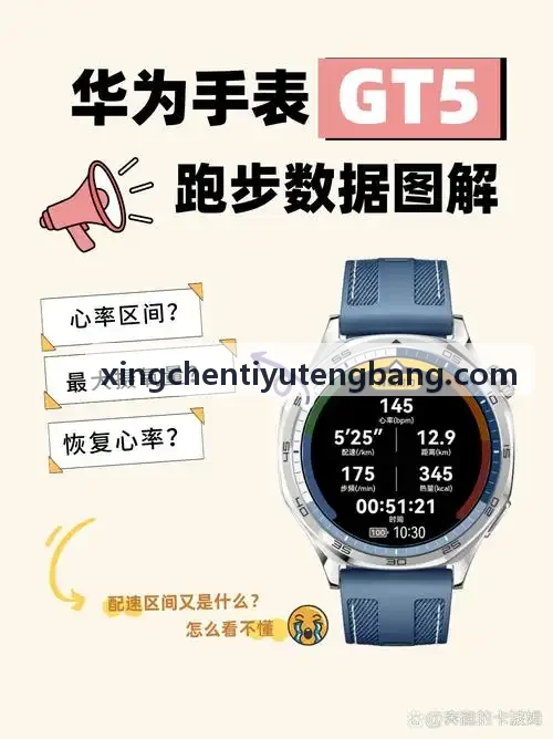 XINGCHENTIYU竞技实战对抗套件