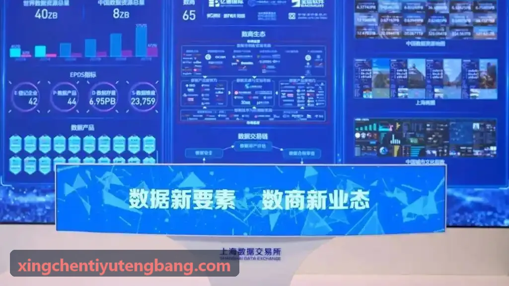 XINGCHENTIYU田径起跑实测案例
