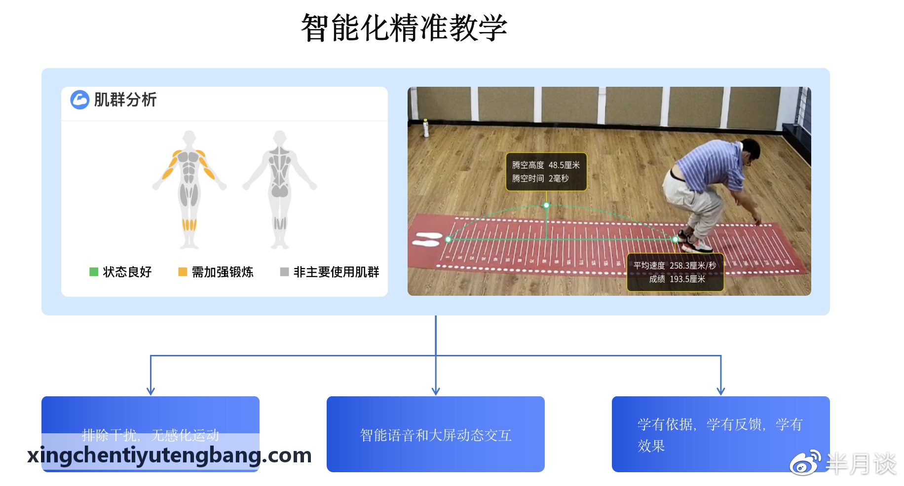 XINGCHENTIYU篮球全场战术跑位分析